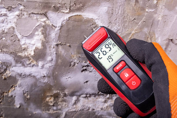 Best Mold Damage Repair  in Santa Clara, CA