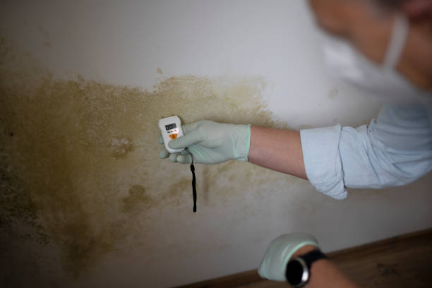 Best Mold Testing  in Santa Clara, CA